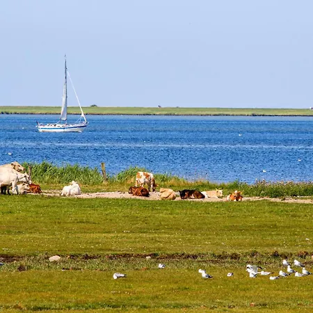 Cozy In Ostseeresort Holiday home *